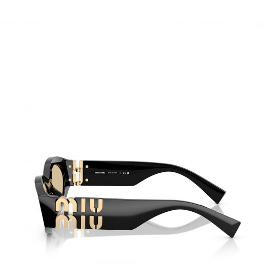 Miu Miu MU 11WS 16K10R - 3/3